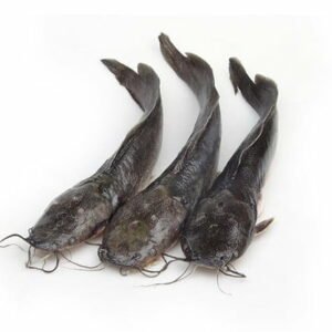 Frozen Jona Catfish Gutted 300 - 500g