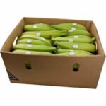 Calypso Green Plantain Karton 20kg