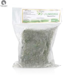 Frozen Eru Leaves