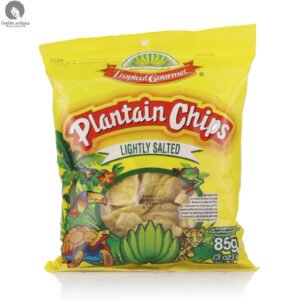 Tropical Gourmet Lightly Salted Plantain Chips 85g